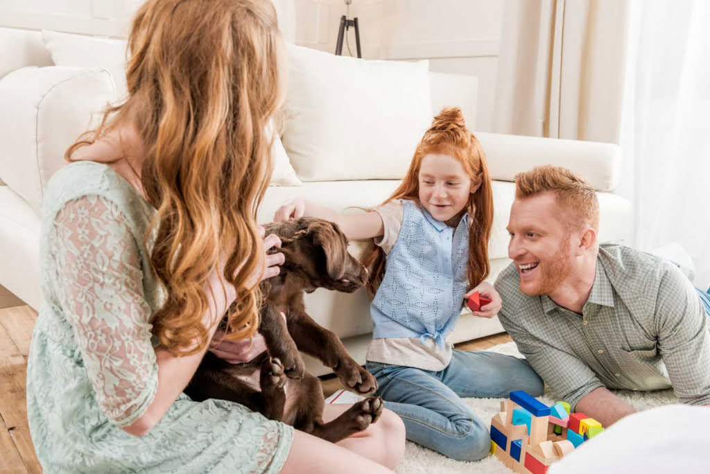 Man, woman and child as family in living room smiling playing with puppy dog