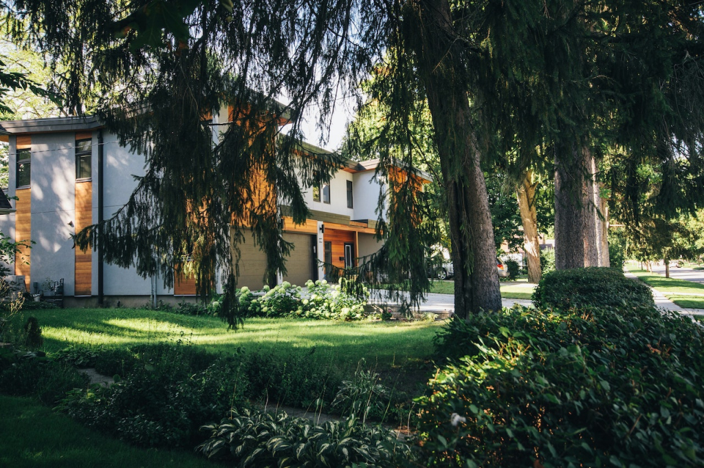 Picture of House with Trees in Summer
